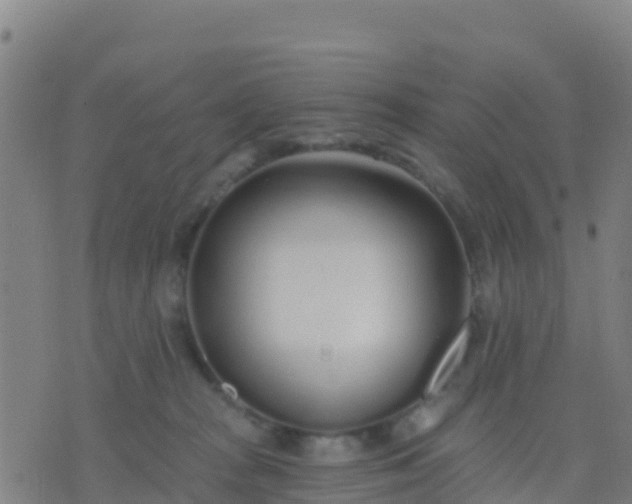 X0000074320277200609082015