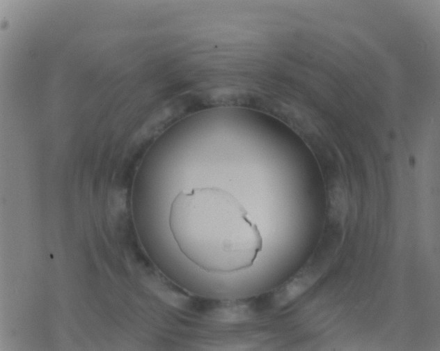 X0000074320278200609082015