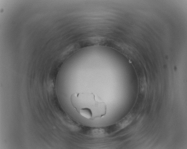 X0000074320279200609082015