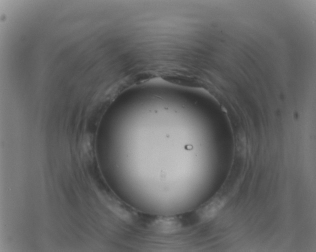 X0000074320280200609082015