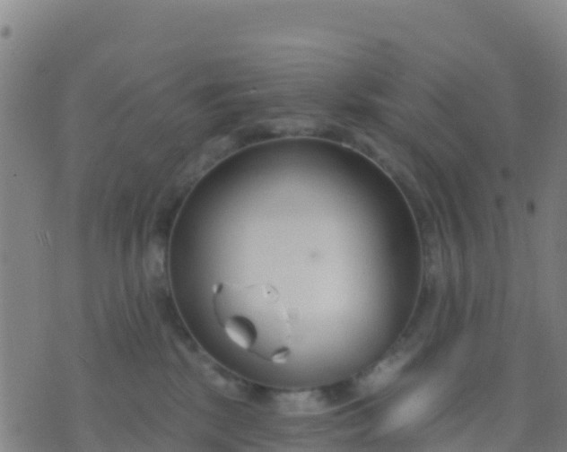 X0000074320281200609082015