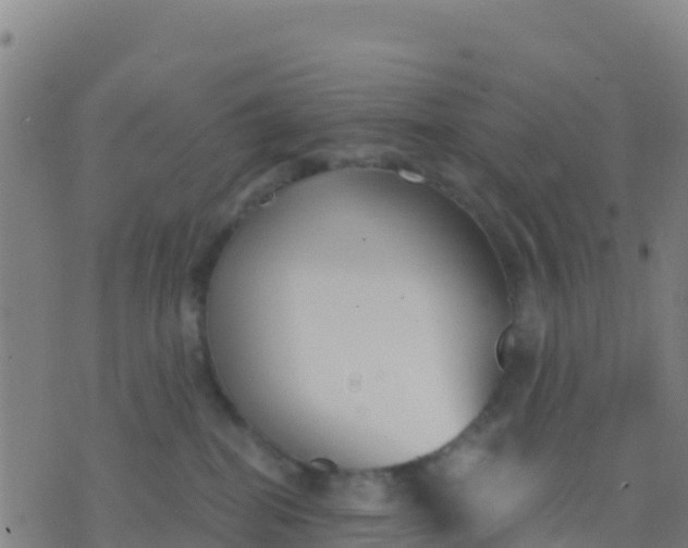 X0000074320282200609082015