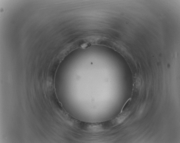 X0000074320283200609082015