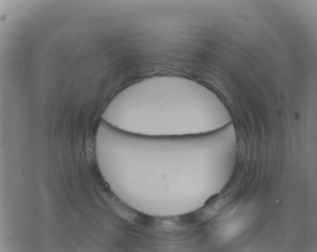 X0000074320285200609082015