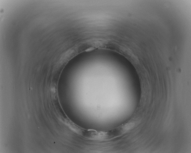 X0000074320288200609082015