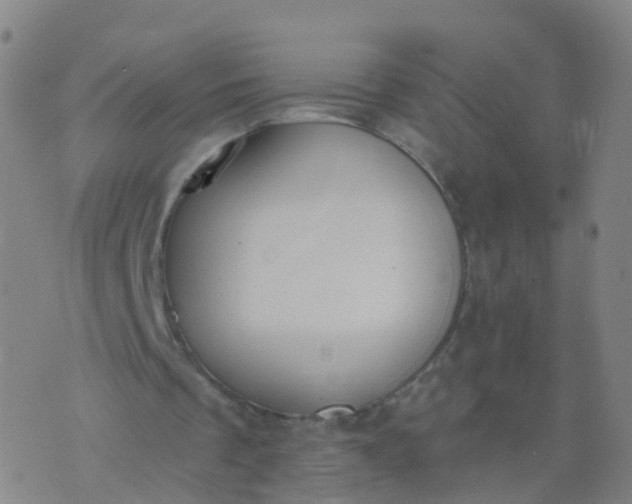 X0000074320289200609082014