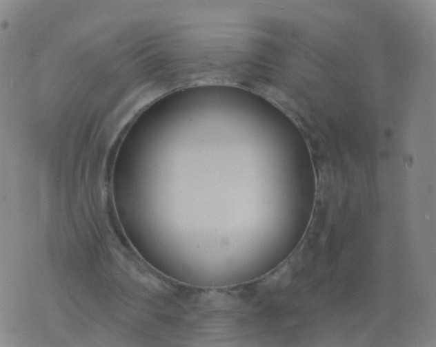 X0000074320290200609082014