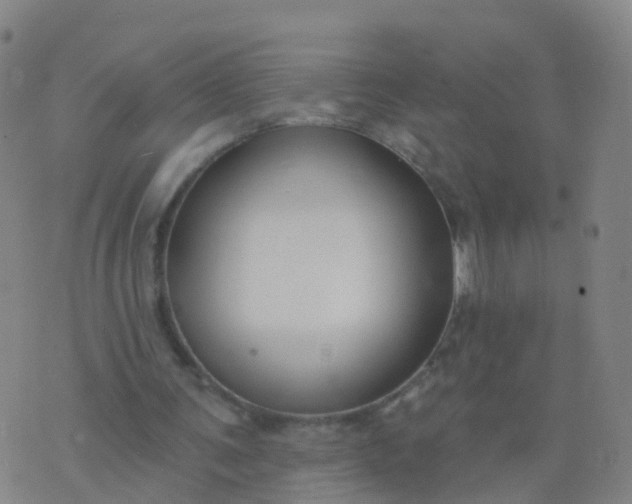 X0000074320291200609082014