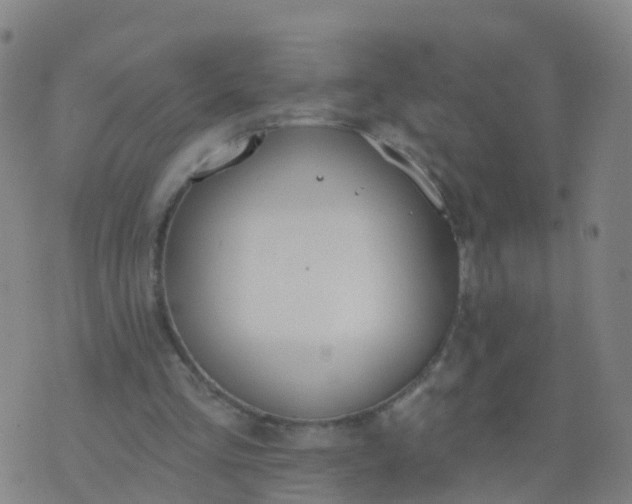 X0000074320293200609082014