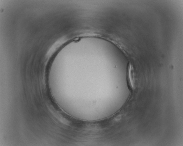 X0000074320296200609082014