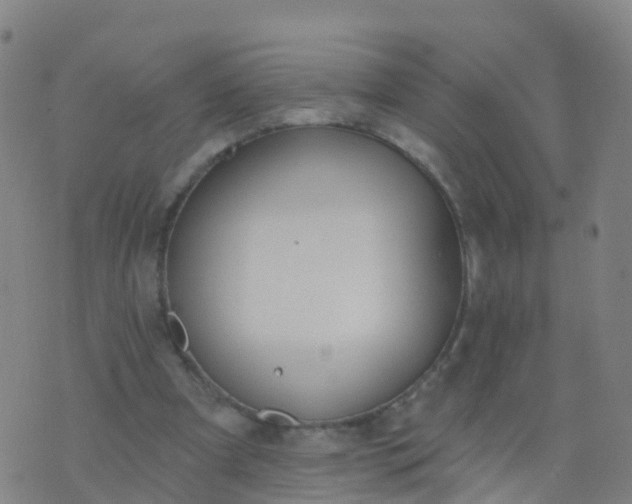 X0000074320297200609082014