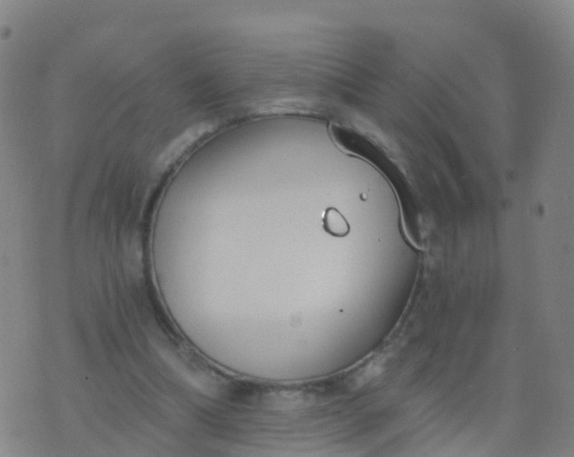 X0000074320298200609082014