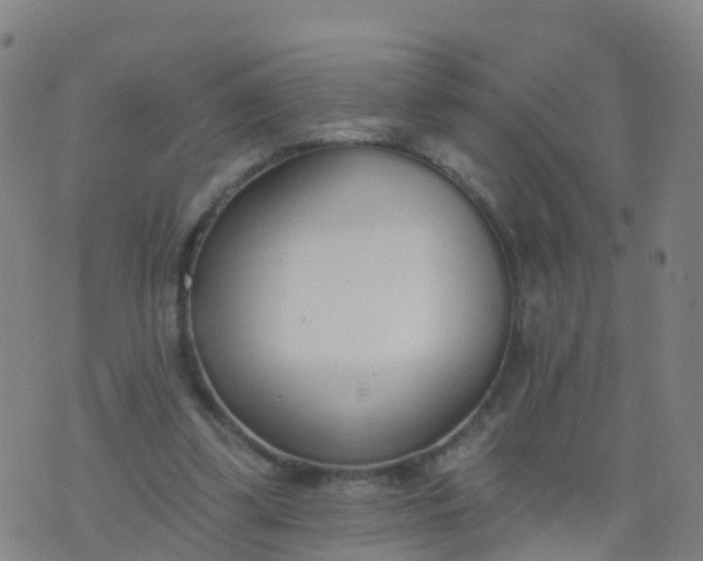 X0000074320299200609082014