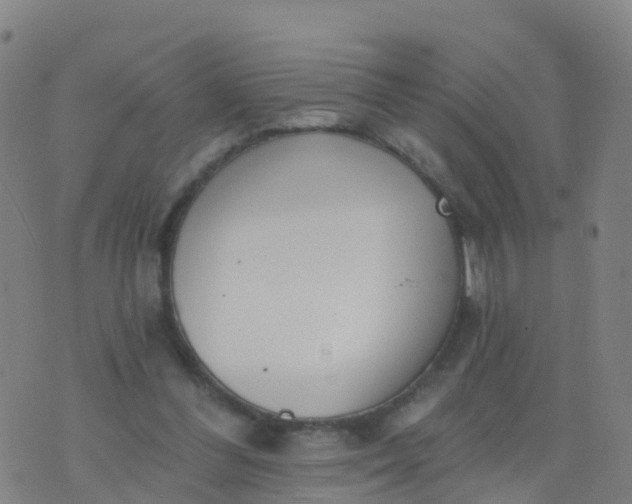 X0000074320300200609082014