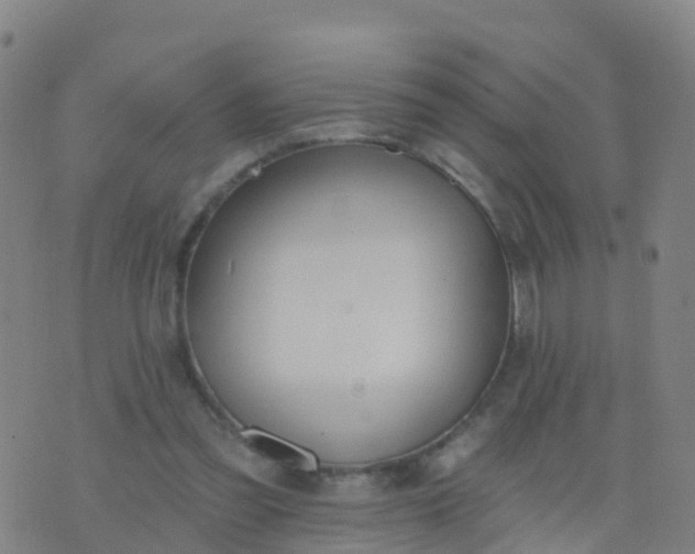 X0000074320301200609082014