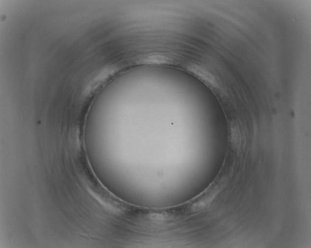 X0000074320302200609082014