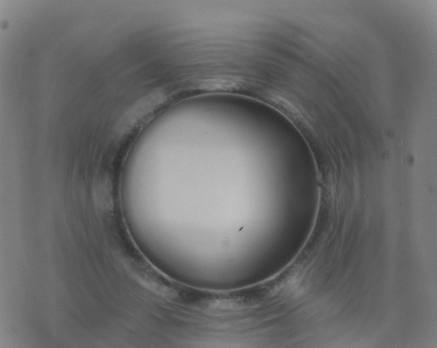 X0000074320303200609082014