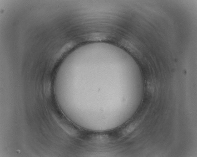 X0000074320304200609082014