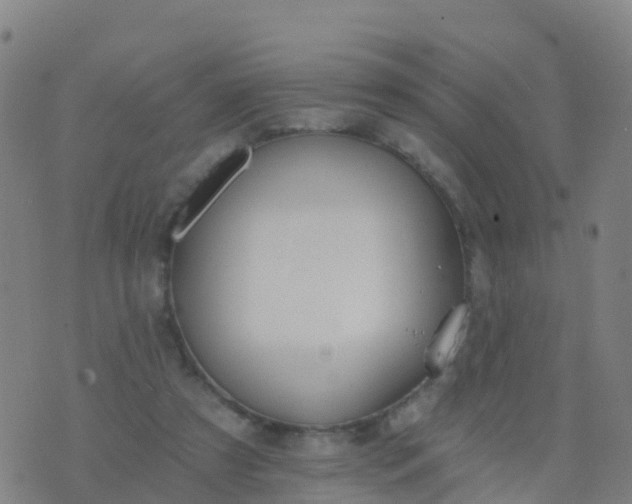 X0000074320305200609082014