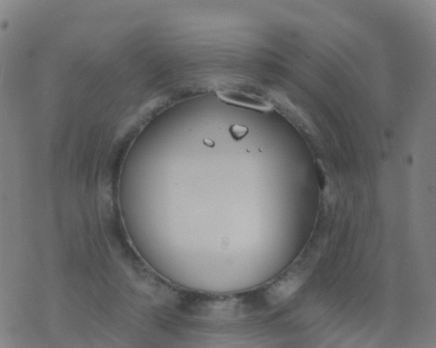 X0000074320306200609082014