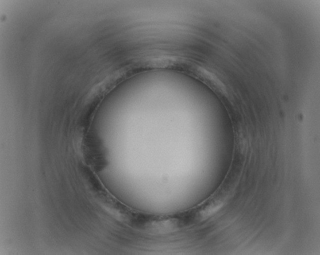 X0000074320307200609082014