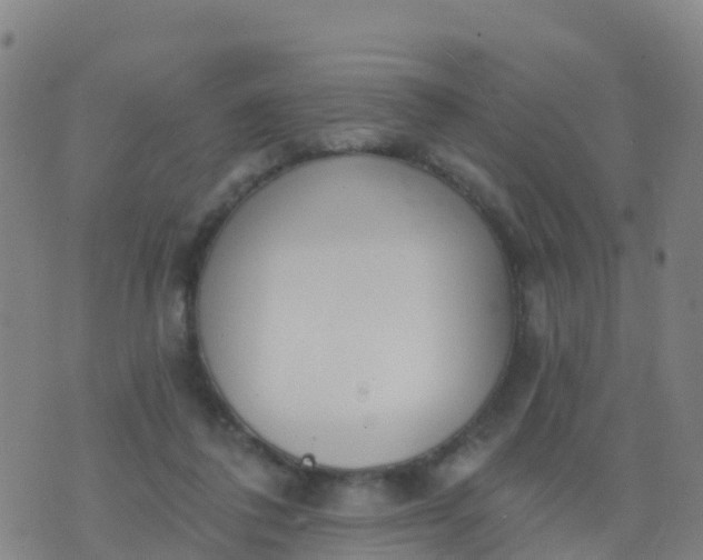 X0000074320308200609082014