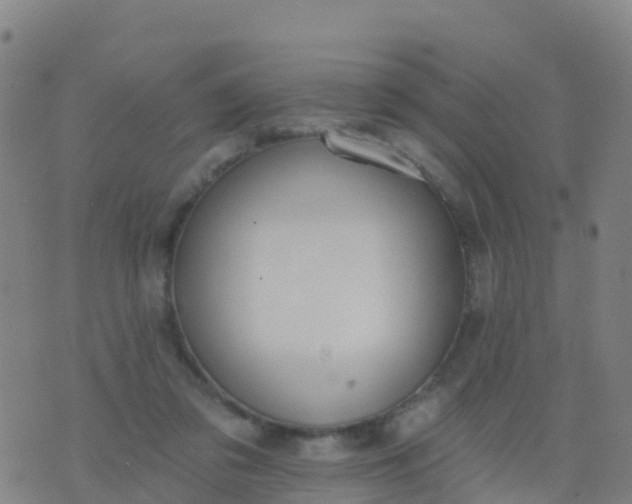 X0000074320309200609082014