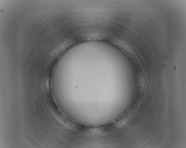 X0000074320310200609082014