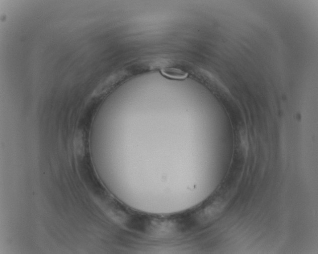 X0000074320311200609082014