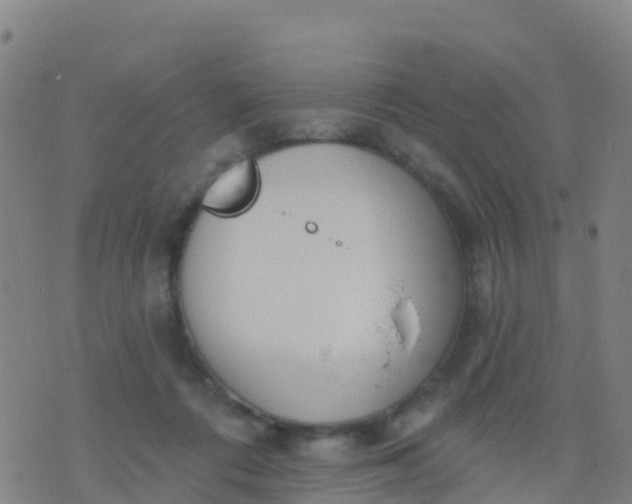 X0000074320312200609082014