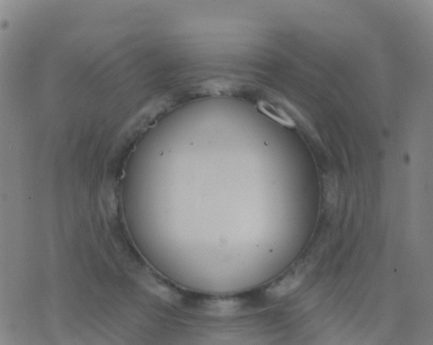 X0000074320313200609082014