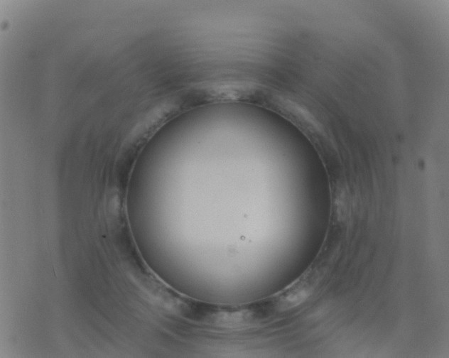 X0000074320314200609082014