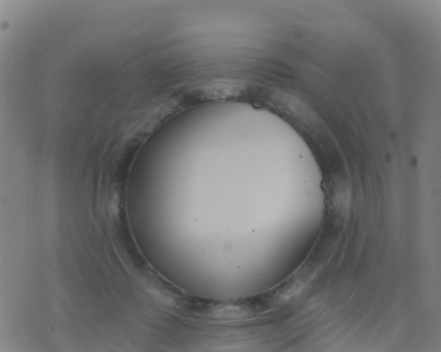 X0000074320315200609082014