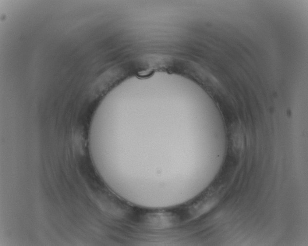 X0000074320316200609082014