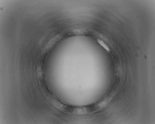 X0000074320317200609082014