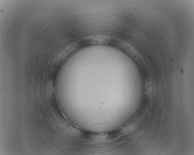 X0000074320318200609082013