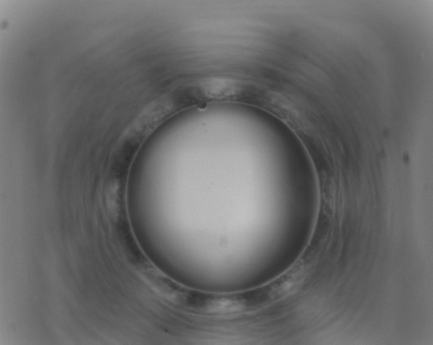 X0000074320319200609082013