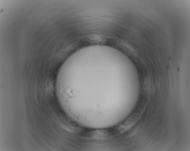 X0000074320320200609082013