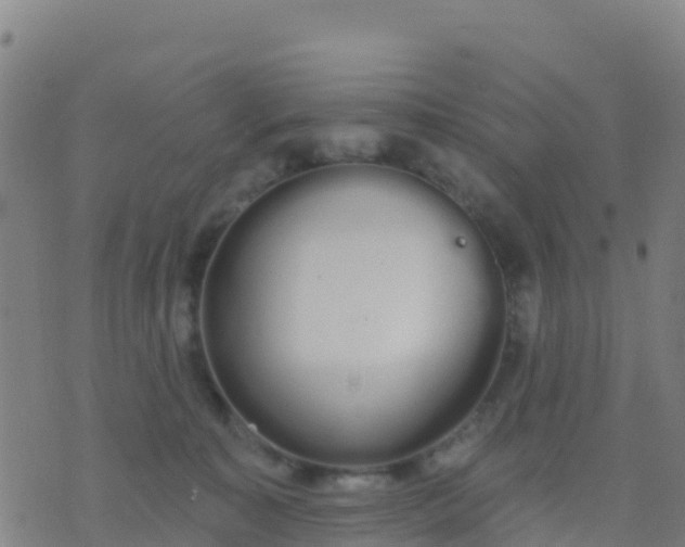 X0000074320323200609082013