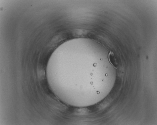 X0000074320324200609082013