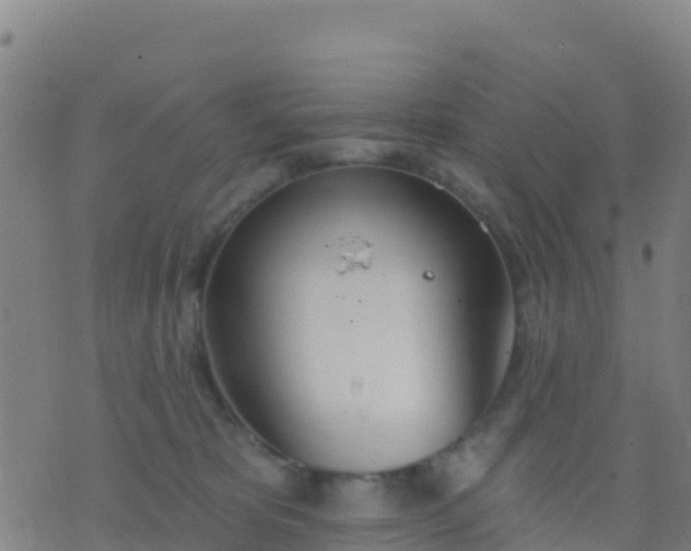 X0000074320325200609082013