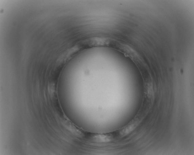 X0000074320326200609082013