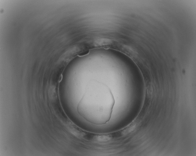 X0000074320327200609082013