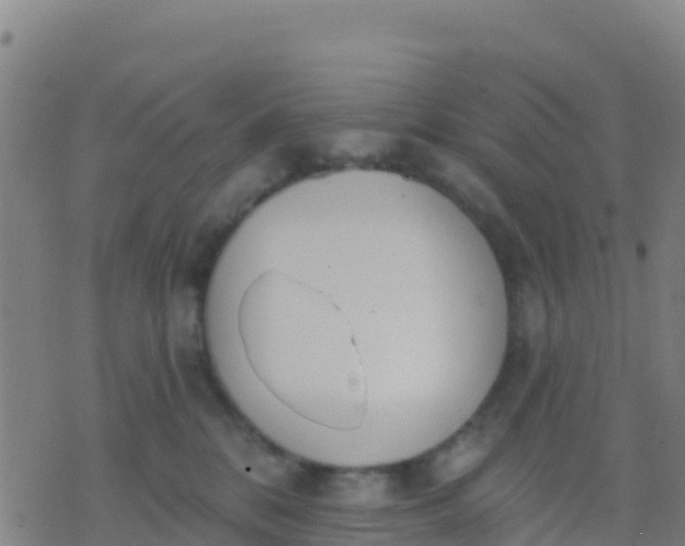 X0000074320328200609082013