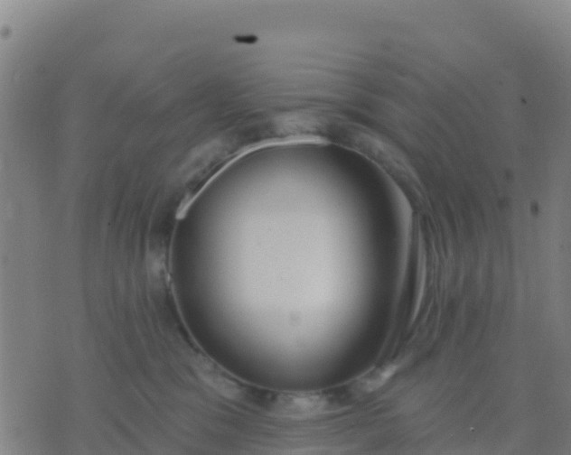 X0000074320329200609082013