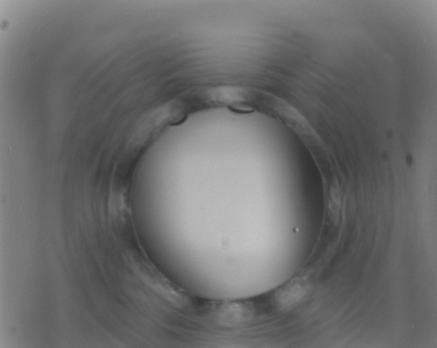 X0000074320330200609082013