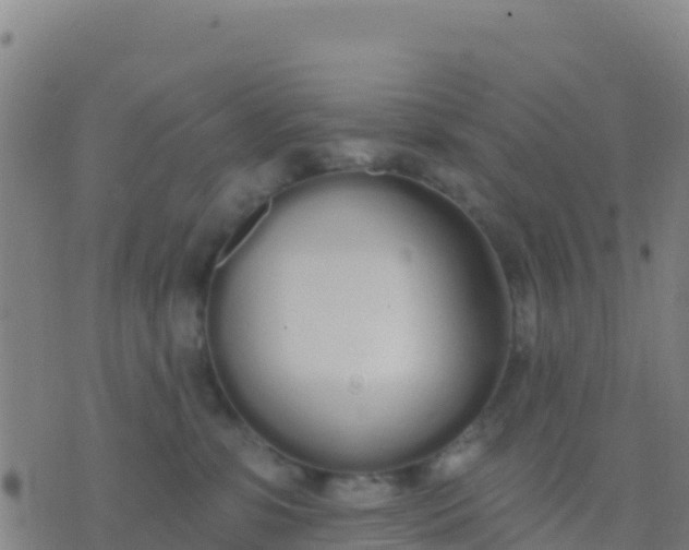 X0000074320331200609082013