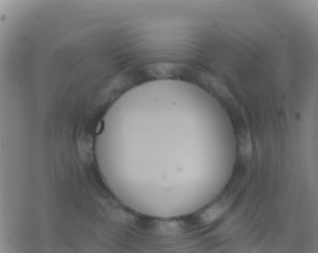 X0000074320332200609082013