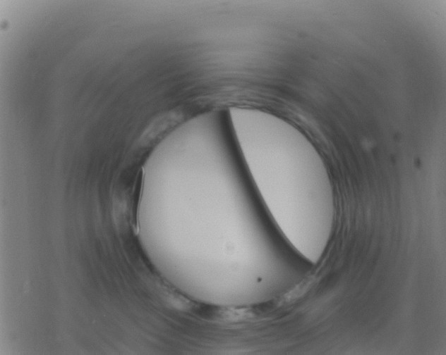 X0000074320333200609082013