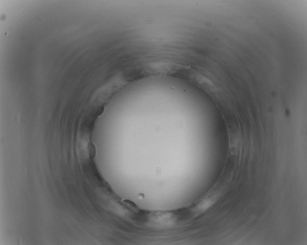 X0000074320334200609082013